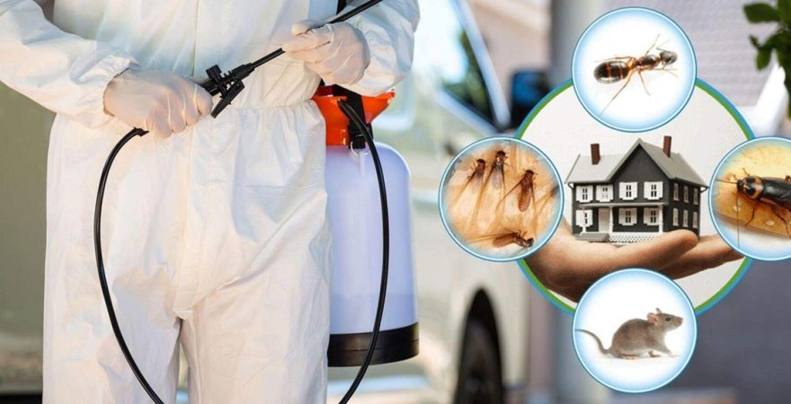 Evciler Böcek İlaçlama