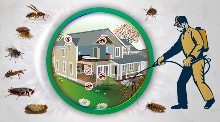 Evciler Böcek İlaçlama