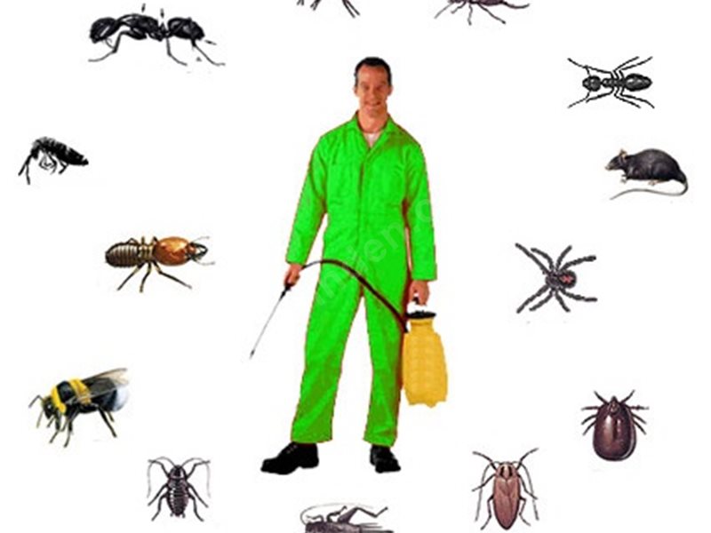 Evciler Böcek İlaçlama